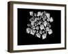 Poetry III-Tang Ling-Framed Photographic Print