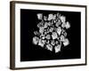 Poetry III-Tang Ling-Framed Photographic Print