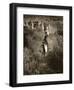 Poetry in Motion-Barry Hart-Framed Art Print