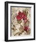 Poetry in the Garden 2-Matina Theodosiou-Framed Art Print