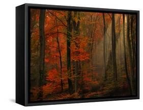 Poetry of Colors-Philippe Sainte-Laudy-Framed Stretched Canvas