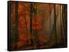 Poetry of Colors-Philippe Sainte-Laudy-Framed Stretched Canvas