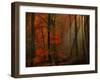 Poetry of Colors-Philippe Sainte-Laudy-Framed Premium Photographic Print