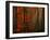 Poetry of Colors-Philippe Sainte-Laudy-Framed Premium Photographic Print