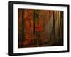 Poetry of Colors-Philippe Sainte-Laudy-Framed Premium Photographic Print