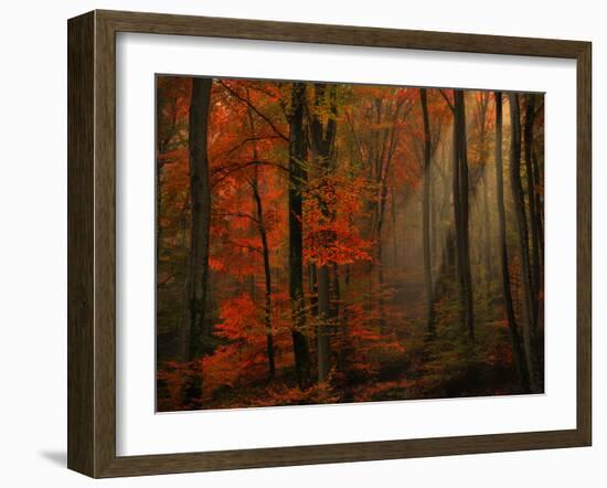 Poetry of Colors-Philippe Sainte-Laudy-Framed Photographic Print