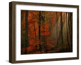 Poetry of Colors-Philippe Sainte-Laudy-Framed Photographic Print