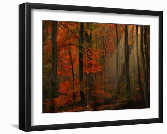 Poetry of Colors-Philippe Sainte-Laudy-Framed Photographic Print