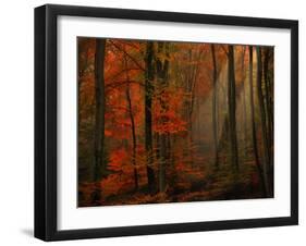 Poetry of Colors-Philippe Sainte-Laudy-Framed Photographic Print