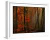 Poetry of Colors-Philippe Sainte-Laudy-Framed Photographic Print