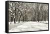 Poets Walk-Chris Bliss-Framed Stretched Canvas