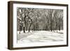 Poets Walk-Chris Bliss-Framed Photographic Print