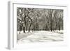 Poets Walk-Chris Bliss-Framed Photographic Print