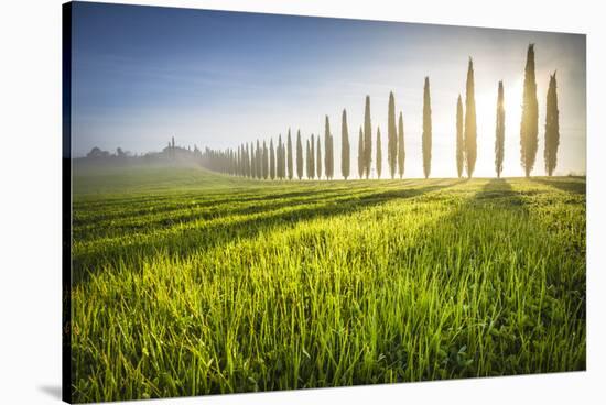 Poggio Covili, Castiglione d'Orcia, Val d'Orcia, Tuscany, Italy-ClickAlps-Stretched Canvas