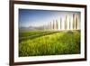 Poggio Covili, Castiglione d'Orcia, Val d'Orcia, Tuscany, Italy-ClickAlps-Framed Photographic Print