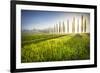 Poggio Covili, Castiglione d'Orcia, Val d'Orcia, Tuscany, Italy-ClickAlps-Framed Photographic Print