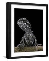 Pogona Brevis (Bearded Dragon) - Young-Paul Starosta-Framed Photographic Print