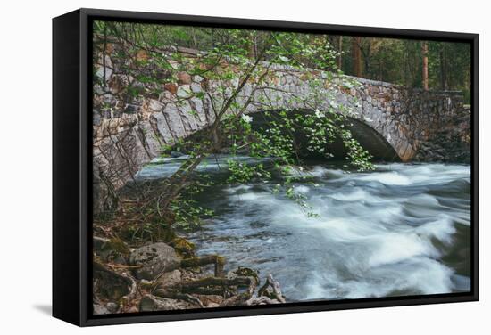 Pohono Bridge and Dogwoods, Yosemite National Park-Vincent James-Framed Stretched Canvas