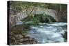 Pohono Bridge and Dogwoods, Yosemite National Park-Vincent James-Stretched Canvas