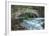 Pohono Bridge and Dogwoods, Yosemite National Park-Vincent James-Framed Photographic Print