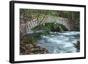 Pohono Bridge and Dogwoods, Yosemite National Park-Vincent James-Framed Photographic Print