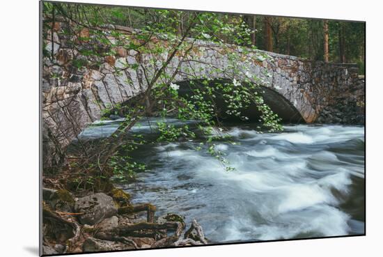 Pohono Bridge and Dogwoods, Yosemite National Park-Vincent James-Mounted Photographic Print