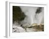 Pohutu Geyser at Te Puia Wakarewarewa Geothermal Village, Rotorua, Taupo Volcanic Zone, New Zealand-Kober Christian-Framed Photographic Print