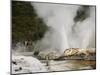 Pohutu Geyser at Te Puia Wakarewarewa Geothermal Village, Rotorua, Taupo Volcanic Zone, New Zealand-Kober Christian-Mounted Photographic Print