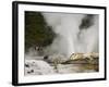 Pohutu Geyser at Te Puia Wakarewarewa Geothermal Village, Rotorua, Taupo Volcanic Zone, New Zealand-Kober Christian-Framed Photographic Print