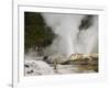 Pohutu Geyser at Te Puia Wakarewarewa Geothermal Village, Rotorua, Taupo Volcanic Zone, New Zealand-Kober Christian-Framed Photographic Print