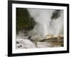 Pohutu Geyser at Te Puia Wakarewarewa Geothermal Village, Rotorua, Taupo Volcanic Zone, New Zealand-Kober Christian-Framed Photographic Print