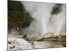 Pohutu Geyser at Te Puia Wakarewarewa Geothermal Village, Rotorua, Taupo Volcanic Zone, New Zealand-Kober Christian-Mounted Photographic Print