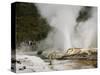 Pohutu Geyser at Te Puia Wakarewarewa Geothermal Village, Rotorua, Taupo Volcanic Zone, New Zealand-Kober Christian-Stretched Canvas