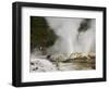 Pohutu Geyser at Te Puia Wakarewarewa Geothermal Village, Rotorua, Taupo Volcanic Zone, New Zealand-Kober Christian-Framed Photographic Print