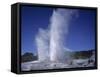 Pohutu Geyser at Whakarewarewa, Rotorua, South Auckland, North Island, New Zealand, Pacific-Desmond Harney-Framed Stretched Canvas