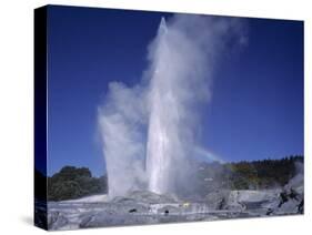 Pohutu Geyser at Whakarewarewa, Rotorua, South Auckland, North Island, New Zealand, Pacific-Desmond Harney-Stretched Canvas