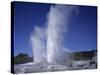 Pohutu Geyser at Whakarewarewa, Rotorua, South Auckland, North Island, New Zealand, Pacific-Desmond Harney-Stretched Canvas