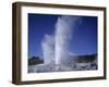 Pohutu Geyser at Whakarewarewa, Rotorua, South Auckland, North Island, New Zealand, Pacific-Desmond Harney-Framed Photographic Print