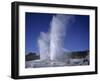 Pohutu Geyser at Whakarewarewa, Rotorua, South Auckland, North Island, New Zealand, Pacific-Desmond Harney-Framed Photographic Print