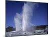 Pohutu Geyser at Whakarewarewa, Rotorua, South Auckland, North Island, New Zealand, Pacific-Desmond Harney-Mounted Photographic Print