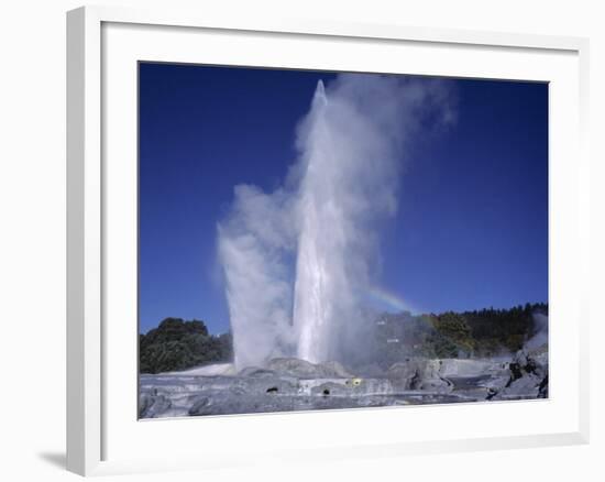 Pohutu Geyser at Whakarewarewa, Rotorua, South Auckland, North Island, New Zealand, Pacific-Desmond Harney-Framed Photographic Print