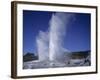 Pohutu Geyser at Whakarewarewa, Rotorua, South Auckland, North Island, New Zealand, Pacific-Desmond Harney-Framed Photographic Print