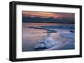 Pohutu Geyser New Zealand-null-Framed Art Print