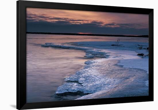 Pohutu Geyser New Zealand-null-Framed Art Print