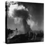 Pohutu Geyser...-Three Lions-Stretched Canvas