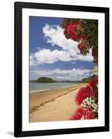 Pohutukawa Tree and Beach, Paihia, Bay of Islands, Northland, North Island, New Zealand-David Wall-Framed Photographic Print