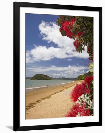 Pohutukawa Tree and Beach, Paihia, Bay of Islands, Northland, North Island, New Zealand-David Wall-Framed Photographic Print