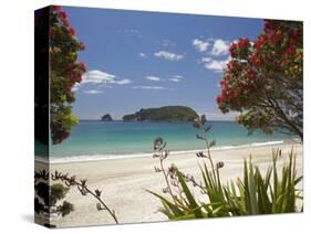 Pohutukawa Tree in Bloom and Hahei, Coromandel Peninsula, North Island, New Zealand-David Wall-Stretched Canvas