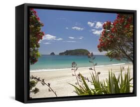 Pohutukawa Tree in Bloom and Hahei, Coromandel Peninsula, North Island, New Zealand-David Wall-Framed Stretched Canvas