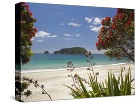 Pohutukawa Tree in Bloom and Hahei, Coromandel Peninsula, North Island, New Zealand-David Wall-Stretched Canvas